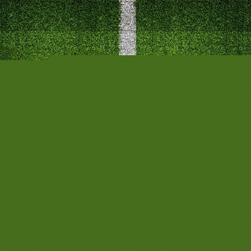 防守和组织 防守和组织